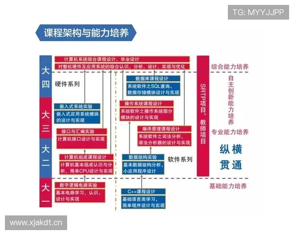 基于体育比赛现场的系统性观察分析与表现评估研究报告综合实践